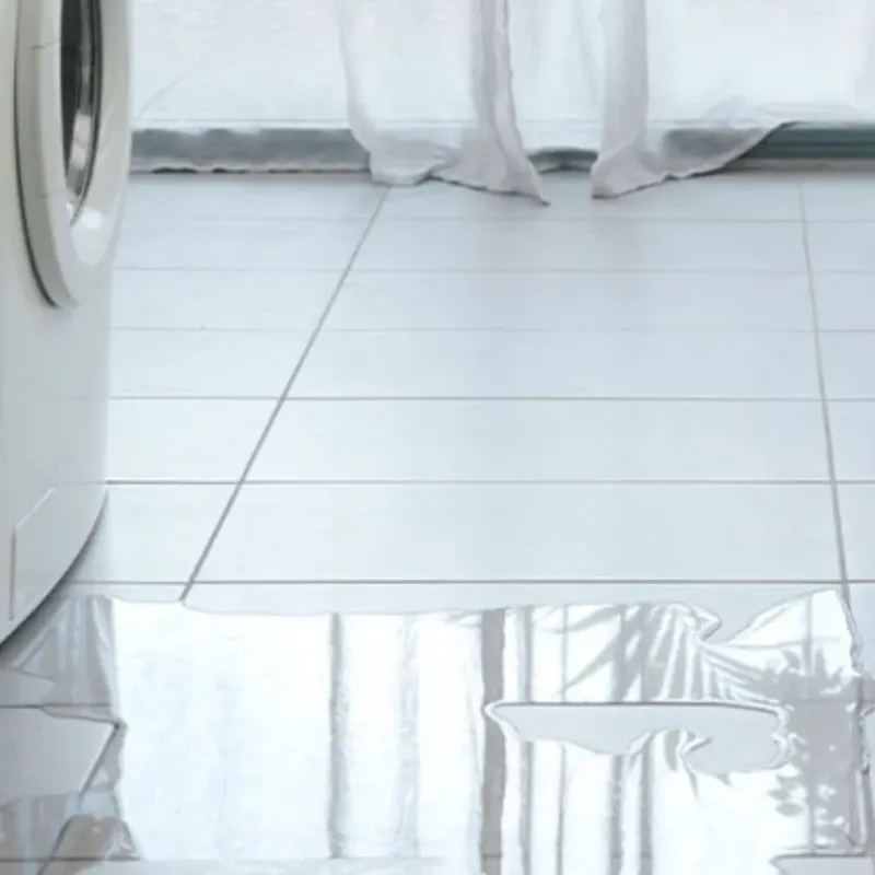 Appliance Leak Cleanup in Hartshorne, OK