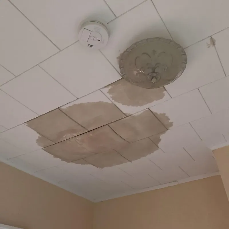 Ceiling Water Damage Repair in Hartshorne, OK