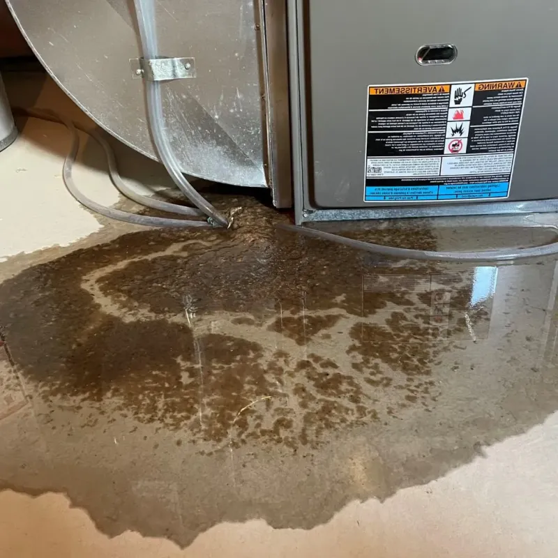 Pipe Burst and Leak Restoration in Hartshorne, OK